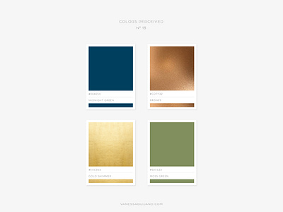 COLORS PERCEIVED NO 13 brand brand identity branding color color palette design identity inspiration