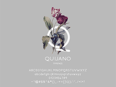 Q is for Quijano