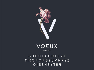 V is for Voeux font serif type typeface typography