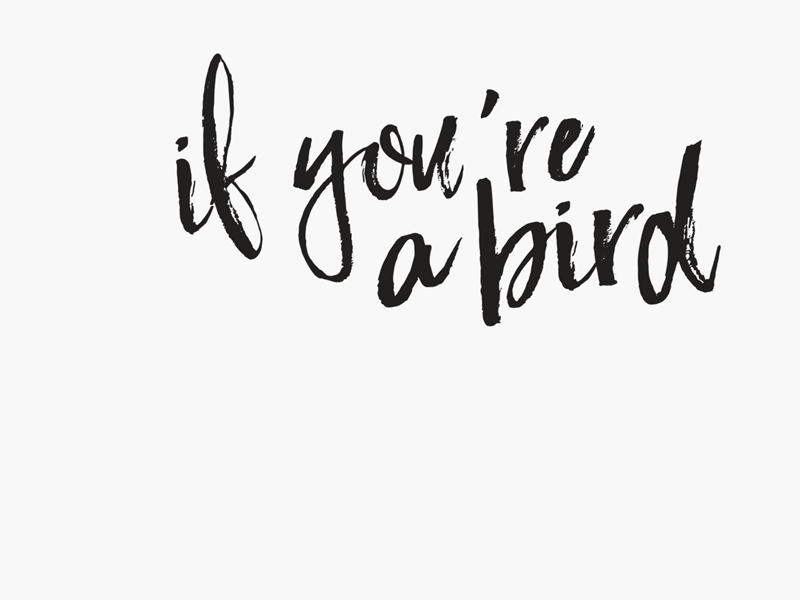 If Your A Bird, I'm A Bird card freebie gif love quote type typography valentines