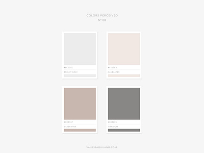 COLOR PERCEIVED No 03 brand identity branding color color palette design gray identity inspiration neutrals nudes