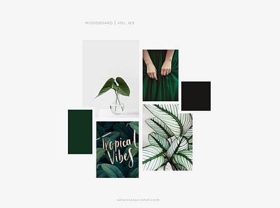 MOODBOARD VOL 05 brand identity branding design green identity inspiration moodboard tropical tropical flyer