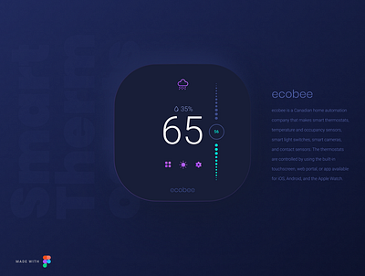 Ecobee app branding design minimal ui