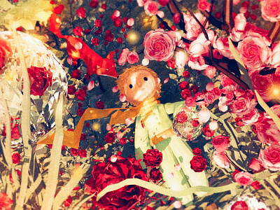The little prince 4d cinema little maxon prince roses the