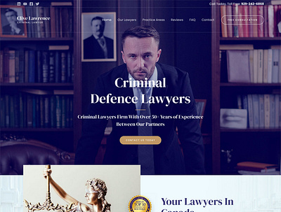 Criminal Lawyer Website branding design website wordpress