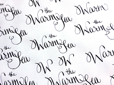 The Warm Sea calligraphy hand lettering