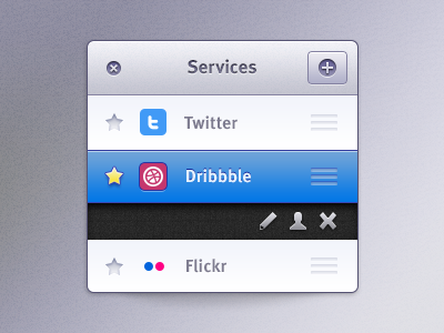 Services add button close dribbble fave flickr meta services social star twitter ui