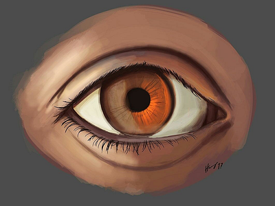 Eye Study