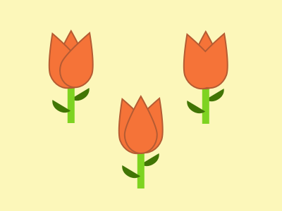 Tulips flowers tulips