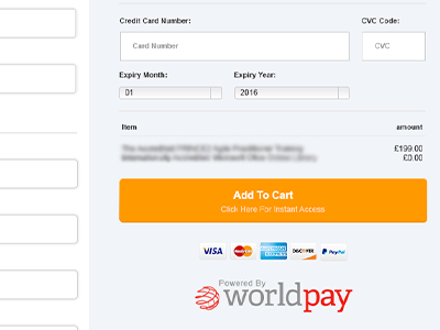 New Check-Out Form checkout checkout form form payment ui