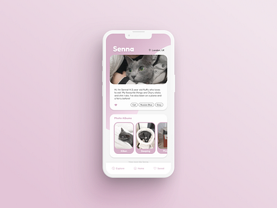 Daily UI 006 / User Profile app cat daily ui dailyui 006 pet profile user