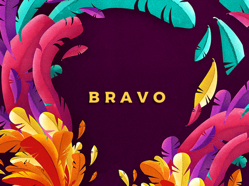 Bravo bird brand bravo colorful feathers illustration purple rooster