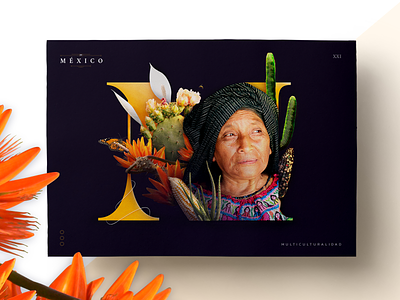 This is Mexico branding collage colorful design illustration m mexico orange plant