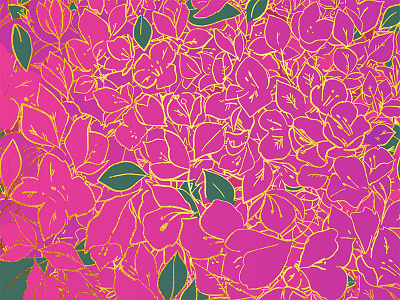 Bougainvillea Study