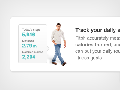 Activity fitbit stats