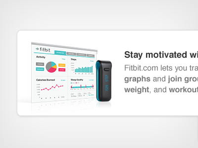 Online Tools charts data visualization fitbit graphs stats