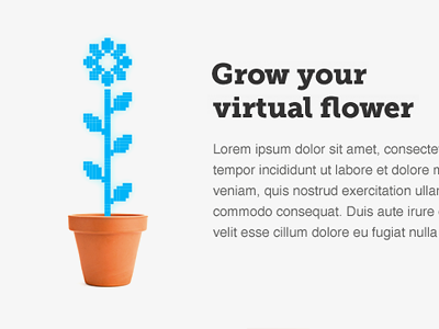 Grow your virtual flower