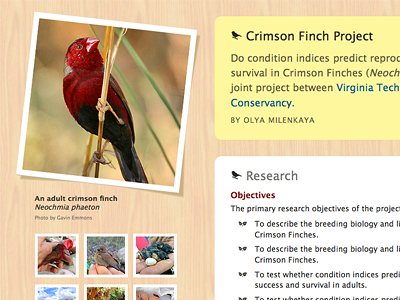 Crimson Finch Project