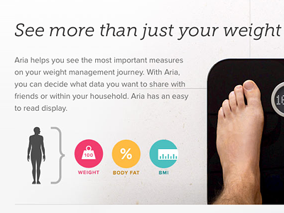 Aria Measurements fitbit icons product page