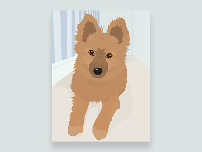 Pomchi Illustration - Arlo