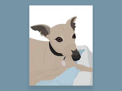 Whippet Illustration - Reuben animal animals cute dog illustration illustrator pet whippet