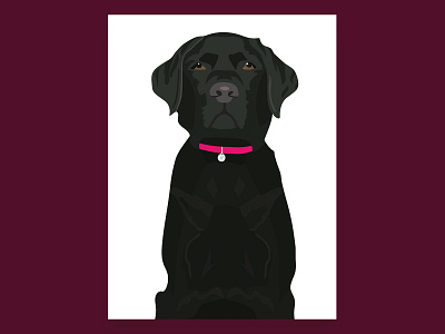 Black Labrador Illustration - Heidi animals cute dog illustration illustrator labrador pet