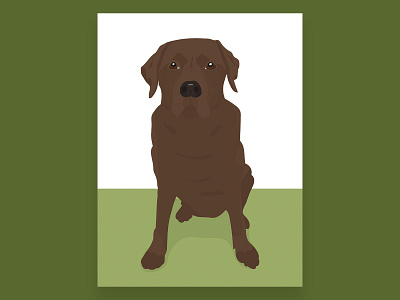 Chocolate Labrador Illustration - Tilly animal animals cute dog illustration illustrator labrador pet