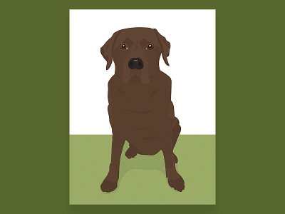 Chocolate Labrador Illustration - Tilly