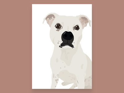 Staffordshire Bull Terrier Illustration - Toby animal animals cute dog illustration illustrator pet staffordshire bull terrier staffy