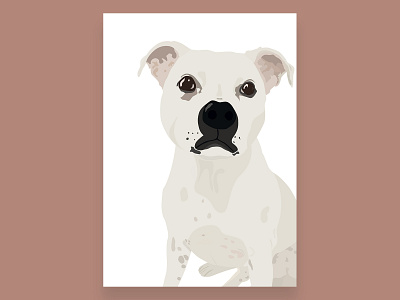 Staffordshire Bull Terrier Illustration - Toby