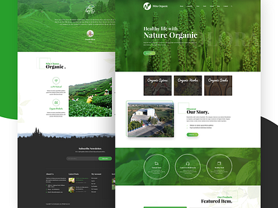 Niks Organic - Nature Organic Products Website design graphic design ui ux vector website
