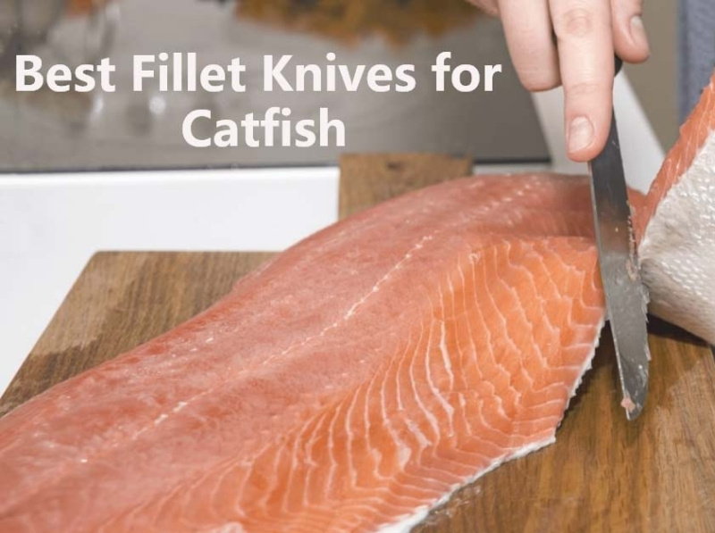 Best 8 Catfish Fillet Knife Review and Buying Guide 2022 by Knife