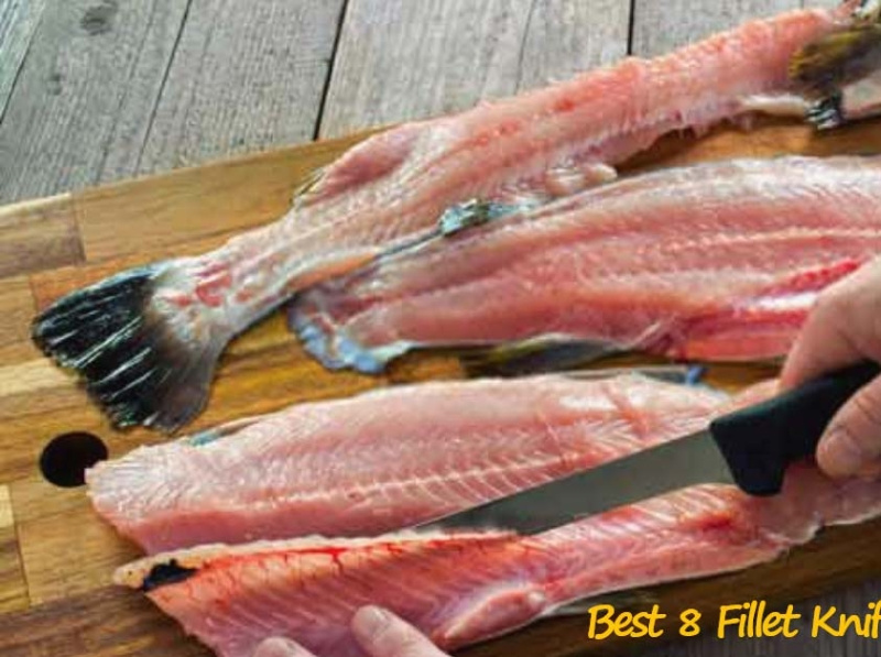 8 Best Fillet Knives for Saltwater Fish Review & Guide 2022 by Knife