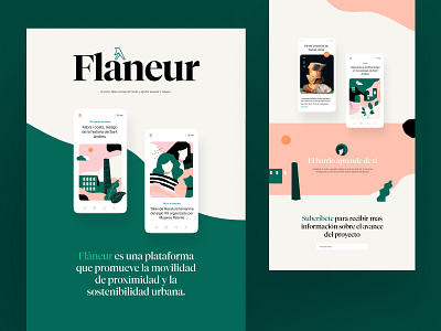 Flaneur Website