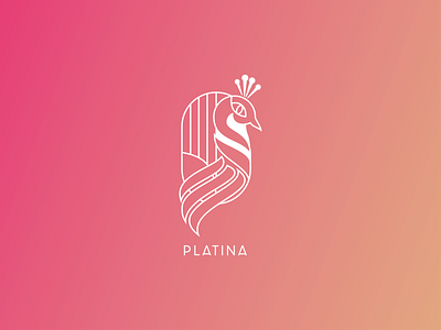 Platina Concept Design