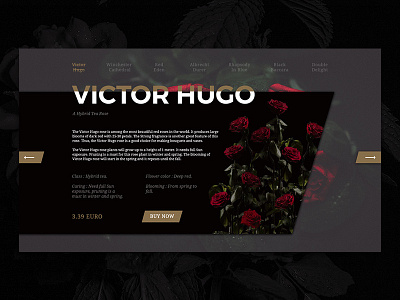 Rose seeds online shop flowers rose shop ui ux web design