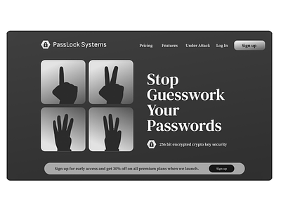 PassLock Systems - Password Management Website Design design ui ux website design