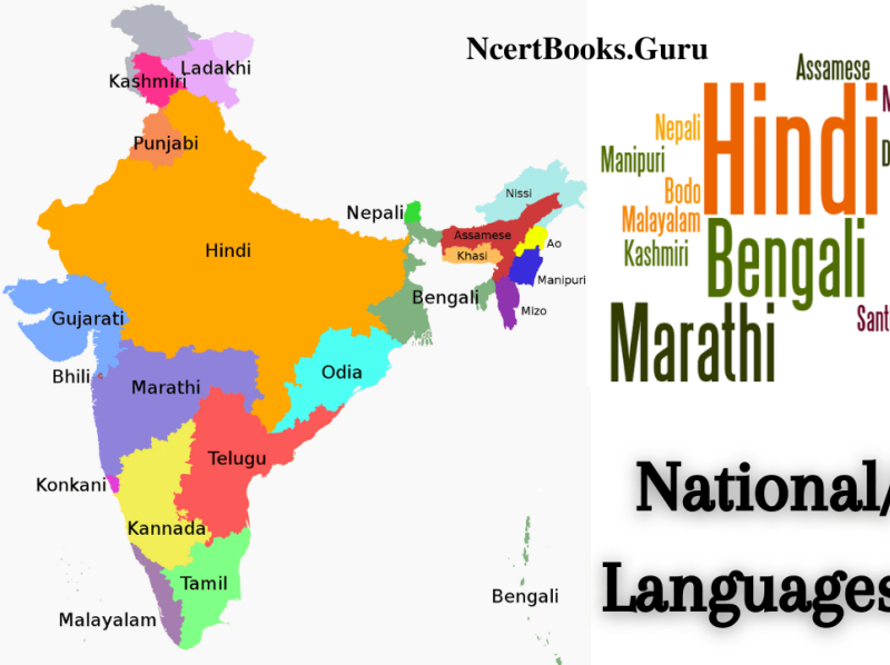 list-of-22-indian-languages-including-the-national-language-by-chegg