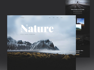 Nature Explore colure creative design landing page mountain shape travel ui ux