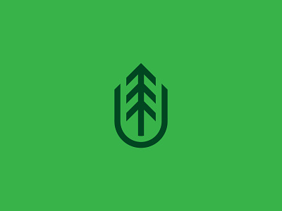 Rebrand - Field PaperCompany badge bold brand branding icon identity lines logo logo design logomark mark minimal paper rebrand rebranding simple symbol tree tree logo vintage