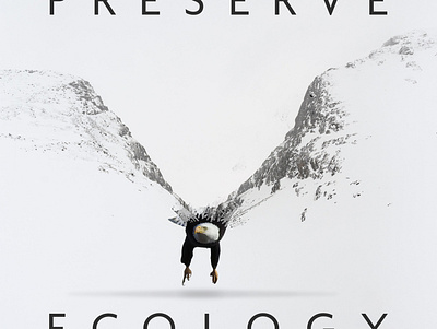 Preserve Ecology adobe birds design eagle earth ecology environment graphic design image manipulation landscape photoshop