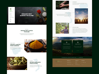 Yaara Website food home home page homepage organic web web design webdesign website website design
