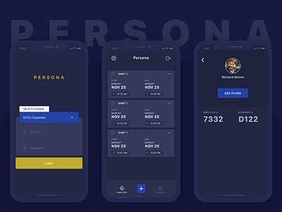 Inspection App Concept