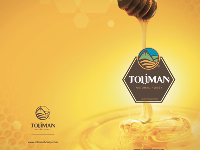 logo and brochure design TOLIMAN