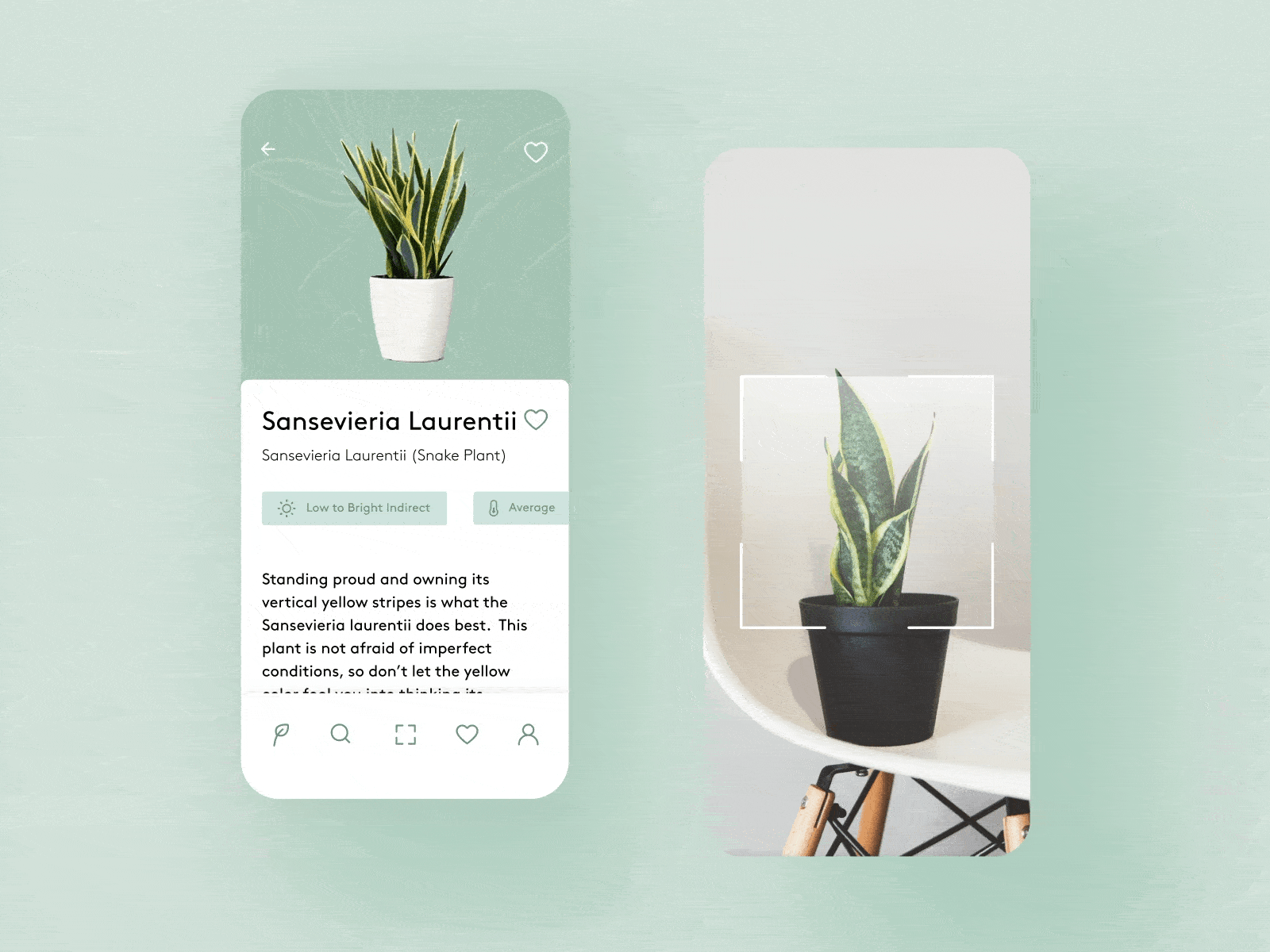 Plant Care App UI Scan