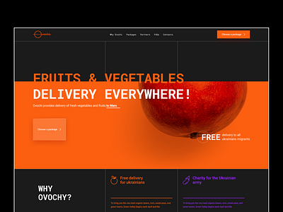 Delivery website concept