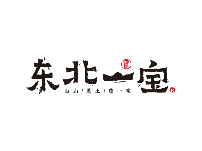 东北一宝 logo logo design