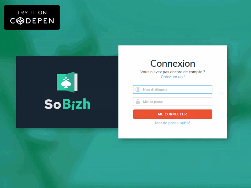 Animated logo and login form 