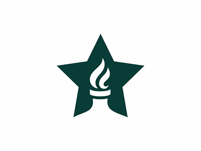 Start Torch Logo branding design graphic design illustration logo