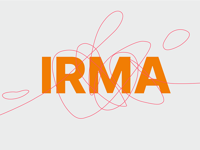 IRMA branding branding design graphic design ui ux